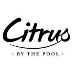 Citrus by the Pool